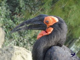 Tiergarten Schönbrunn am 20.10.2025